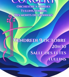 Concert : orchestre &agrave; cordes