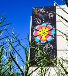 Le Street Art &agrave; Fontaine