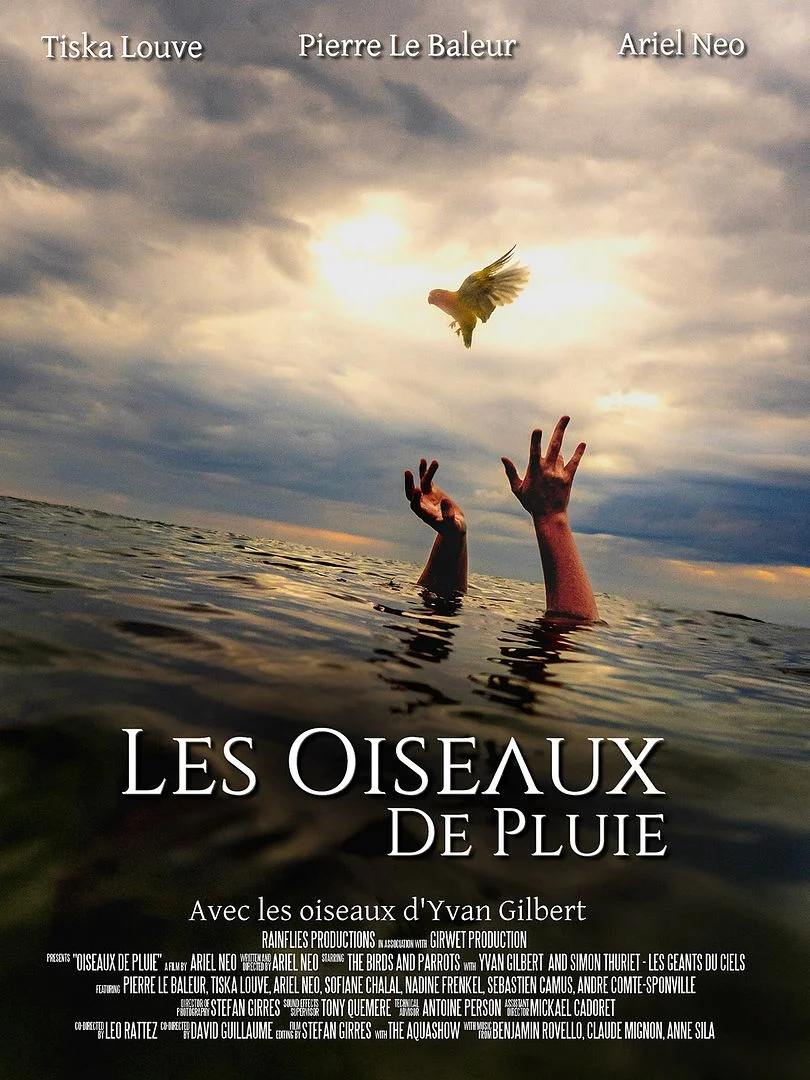 Les oiseaux de pluie