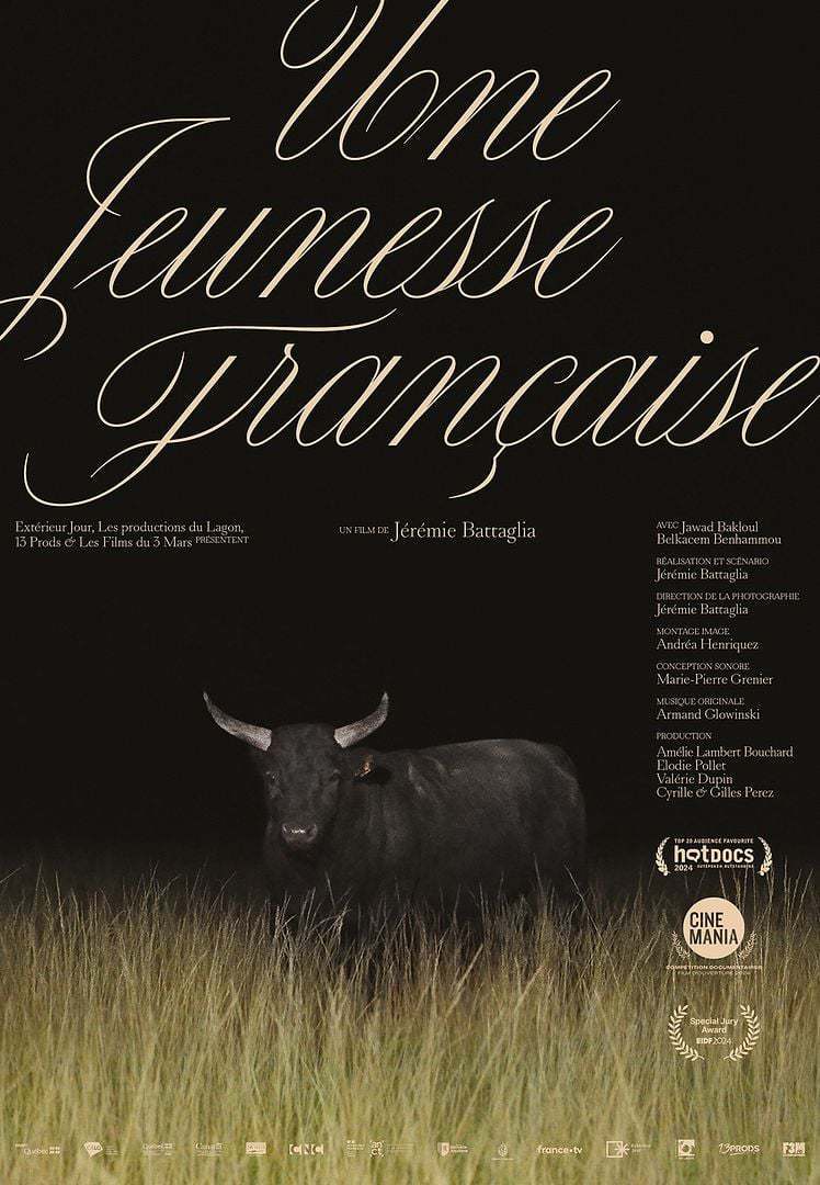 Une jeunesse française