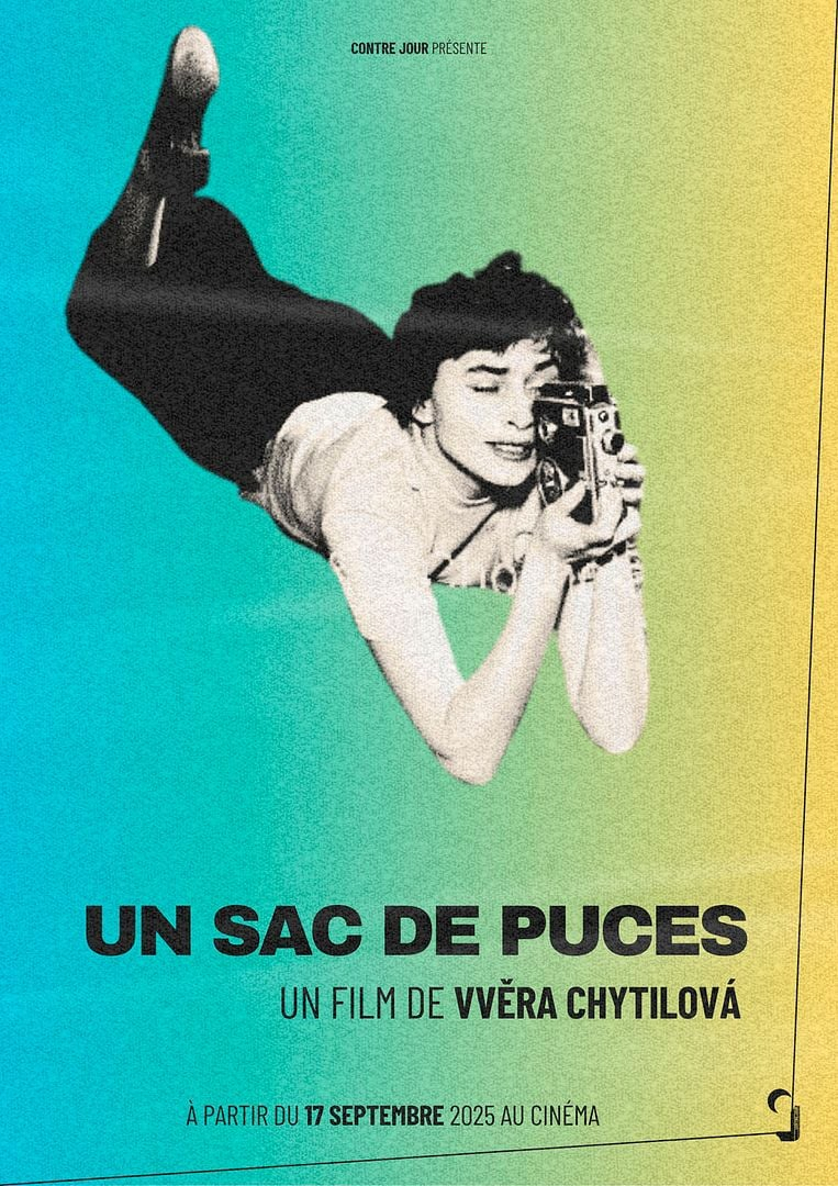 Un sac de puces