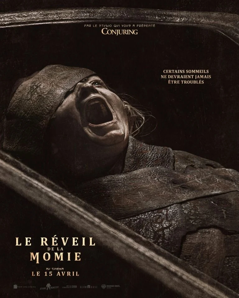 affiche Le r&eacute;veil de la momie