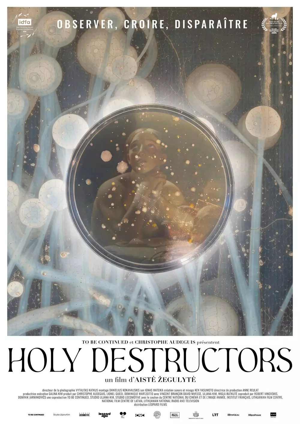 Holy destructors