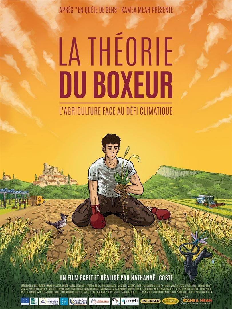 affiche La th&eacute;orie du boxeur