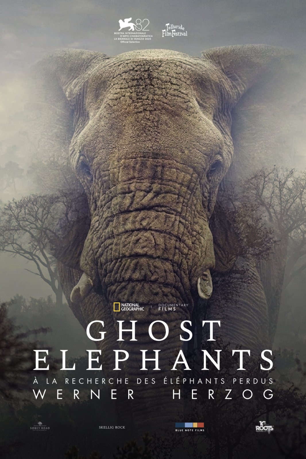 Ghost elephants