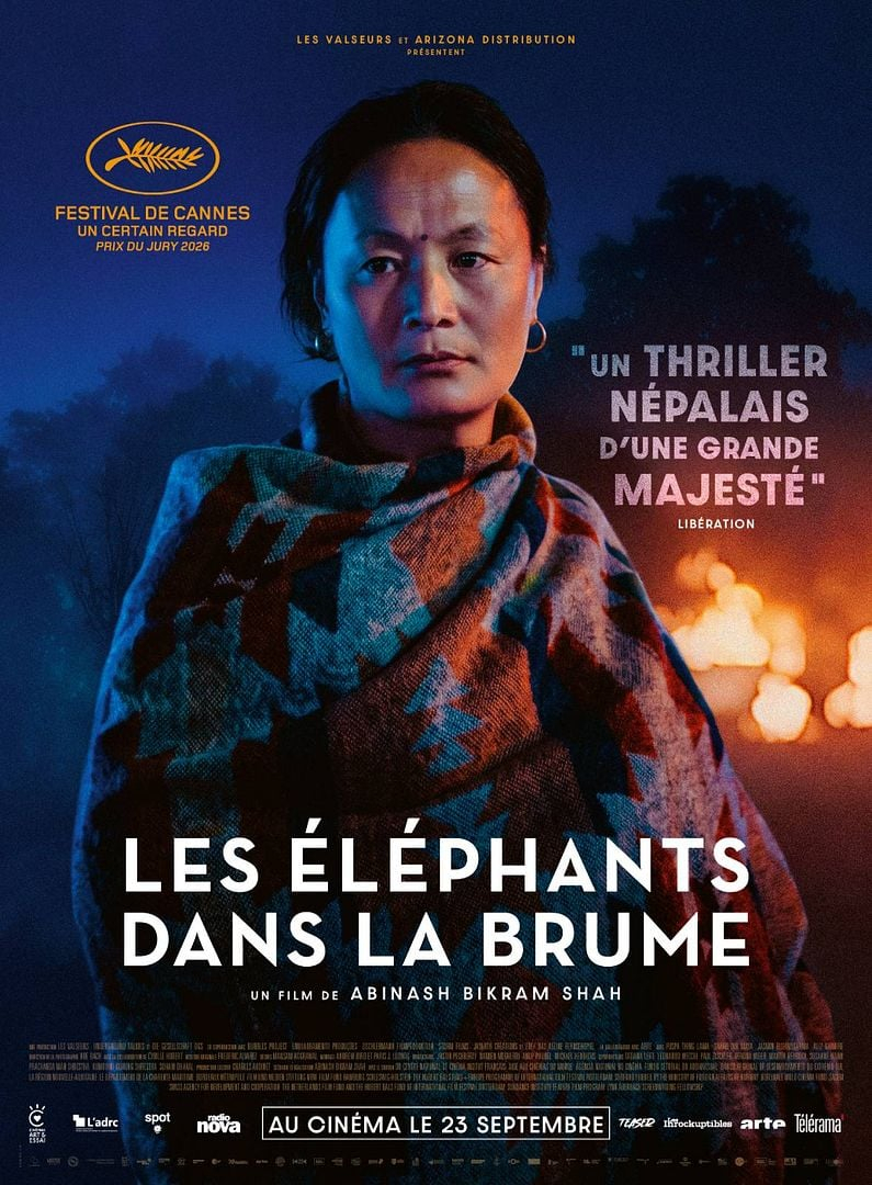 Les &eacute;l&eacute;phants dans la brume