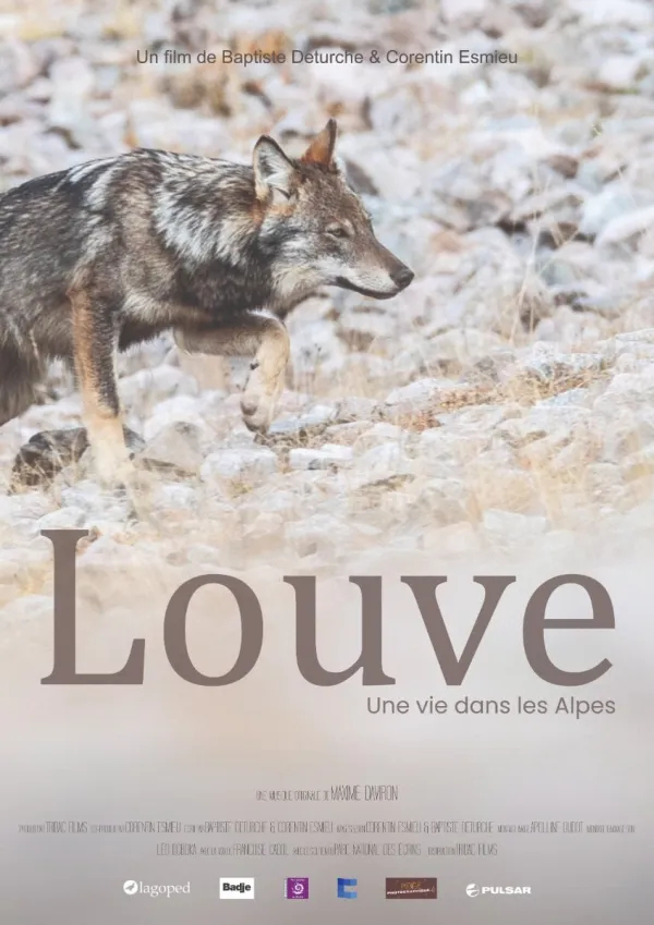 Louve, une vie dans les Alpes