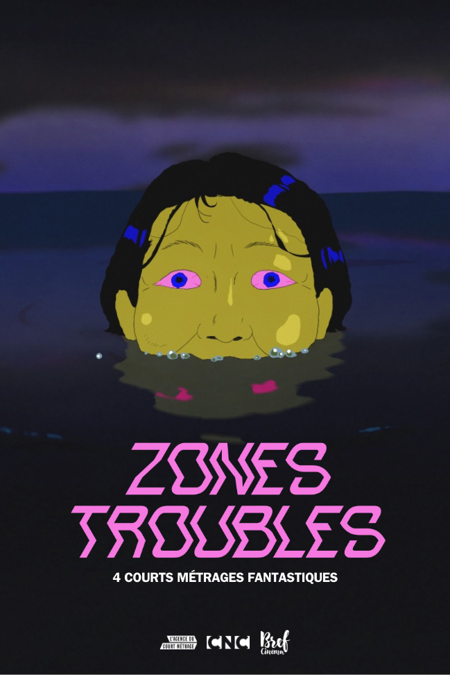 Zones troubles