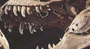 L'apocalypse des dinosaures