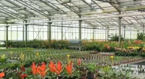 Le jardinage, ça ratisse large !