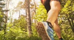 Trail : GT World Series - Il Golfo dell'Isola.
