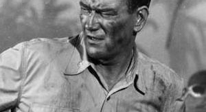 Les diables de Guadalcanal