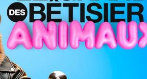 Le grand bêtisier des animaux - Émission 2 - Saiso...