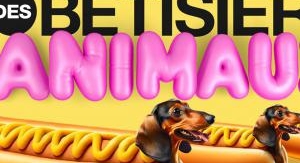 Le grand bêtisier des animaux - Émission 1 - Saiso...