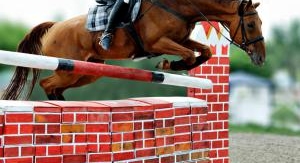 Équitation : Saut d'obstacles - Longines Global Ch...