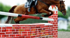 Équitation : Saut d'obstacles - Longines Global Ch...
