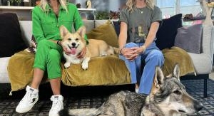 Animaux à adopter - Saison 6 - Épisode 1