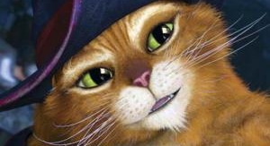 Le Chat Potté