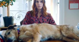 Le procès du chien