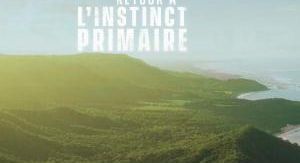 Retour à l'instinct primaire : en solitaire - Sur ...