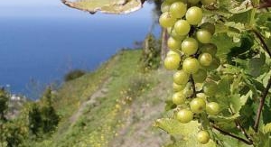 Échappées belles - Naples gourmande
