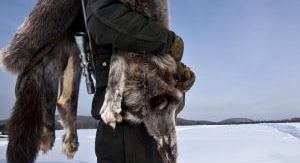 Seuls face à l'Alaska - Des loups affamés