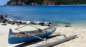 Échappées belles - Madagascar et ses trésors natur...