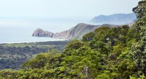 Les génies de la nature au Costa Rica