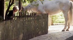 Brigitte Bardot, le serment fait aux animaux