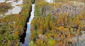 Des mains vertes pour la nature - Engagés pour la ...