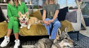 Animaux à adopter - Saison 6 - Épisode 5