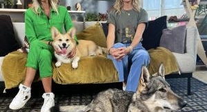 Animaux à adopter - Saison 6 - Épisode 6