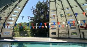 Dans le Grand Bain : Comment les Français ont appr...