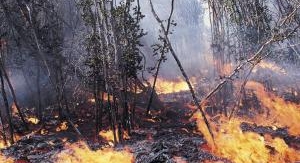 Californie : dans l'enfer des flammes - Épisode 4