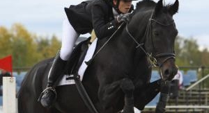 Équitation : Saut d'obstacles - Grand Chelem. Spru...