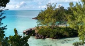 Retour à l'instinct primaire : Apocalypse - On déb...