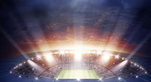 Lionceaux de la Teranga