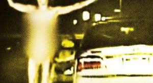 Délinquants sans vêtements - Retour à l'instinct t...