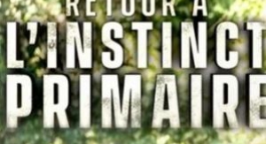 Retour à l'instinct primaire : restons groupés - B...