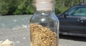 La ruée vers l'or : Dakota Boys - Combat acharné