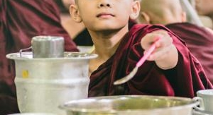 L'adieu à la viande - La grande histoire des végét...