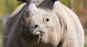 Une saison au zoo - Épisode 46