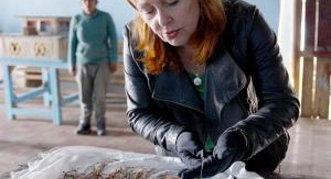 Empire inca, l'histoire révélée