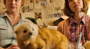 Les pistolets en plastique