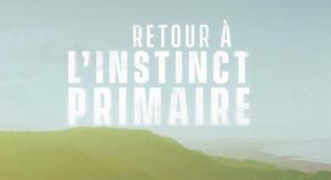 Retour à l'instinct primaire : restons groupés - A...