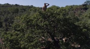 Retour à l'instinct primaire - À l'abri de la temp...