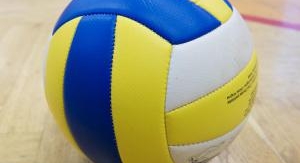 Parenthèse enchantée - Volley-ball.