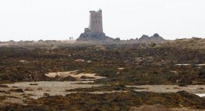 Le ventre de la bête - Épisode 1