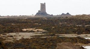 Le ventre de la bête - Épisode 3