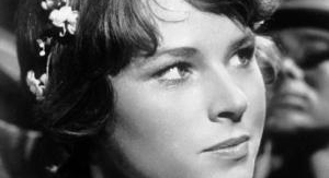 Coups de feu dans la Sierra